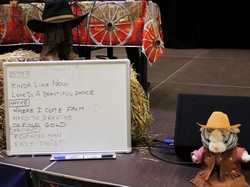  <a style='color: #fff;' href='/uploaded/photo/album-severine-fillion-5c9912650b0fb.jpg'>(Télécharger)</a>