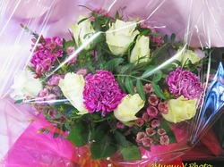  <a style='color: #fff;' href='/uploaded/photo/apres-midi-avec-les-mckenzie-5aa84a3707015.jpg'>(Télécharger)</a>